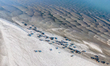 A buffalo herd crosses a dry riverbed near the Jamuna River in Gaibandha, Bangladesh, on D...
