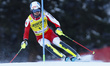 Johannes Strotz (AUT) Head during the AUDI FIS Ski World Cup 2024/25 - Alta Badia - Men's...