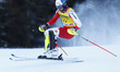 Johannes Strotz (AUT) Head during the AUDI FIS Ski World Cup 2024/25 - Alta Badia - Men's...