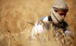 A Palestinian farmer harvests wheat on a farm near the border with the east of Gaza City w...