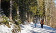 Locals and tourists take a winter walk in Krun, Garmisch-Partenkirchen, Upper Bavaria, Bav...
