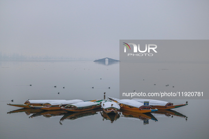 Fresh Spell Of Snowfall In Kashmir