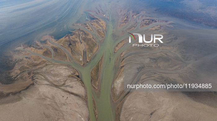 Poyang Lake Tree Shape Landscape