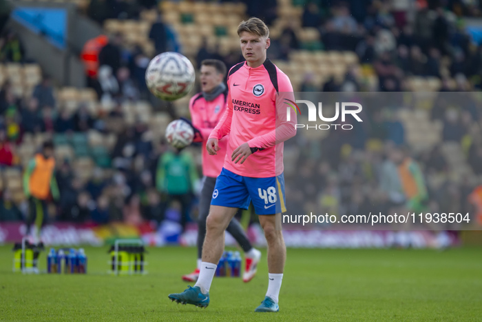 Norwich City v Brighton & Hove Albion - Emirates FA Cup Third Round