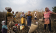 Villagers participate in a community fishing event on the occasion of the Bhogali Bihu fes...
