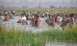 Villagers participate in a community fishing event during the Bhogali Bihu festival in Nag...