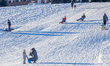 Tourists sledge in Tyrol on a sunny winter day in Seefeld, Innsbruck Land, Tyrol, Austria,...