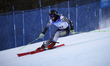 Elena Exenberger of Austria competes in the Women's Giant Slalom during the Torino 2025 FI...