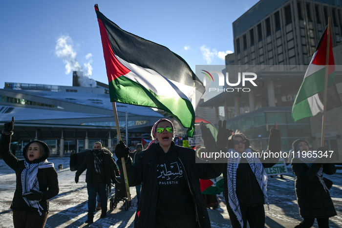 Palestinian Community In Edmonton Celebrates Israel-Hamas Ceasefire In -25C Cold