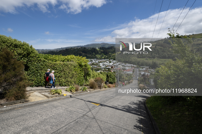 The World's Steepest Street - Baldwin Street