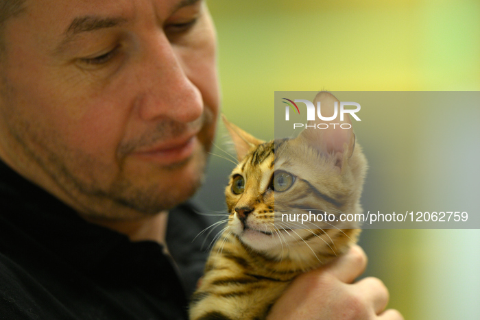 Purebred Cat Competition Warsaw 