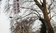 Similar photo #12065003