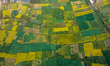The aerial view shows the blooming mustard farmland on the outskirts of Kathmandu, Nepal,...