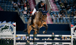 Magnus Schmidt from Germany competes on Vivo De Muze Ps in the CSI4*-W LF Medium Tour comp...