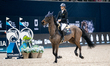 Anna Stasiak from Poland competes on Con Cordia in the CSI4*-W LF Medium Tour competition...