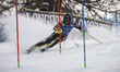 SWENN LARSSON Anna of team Sweden competes in the Audi FIS Alpine Ski World Cup Women's Sl...