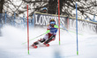 Katharina Gallhuber of team Austria competes in the Audi FIS Alpine Ski World Cup Women's...