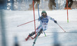 ANDO Asa of team Japan competes in the Audi FIS Alpine Ski World Cup Women's Slalom in Ses...