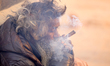 A Sadhu, or Hindu holy man, smokes marijuana on the premises of Pashupatinath Temple in Ka...