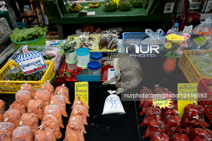 Daily Life In Bangkok, Thailand