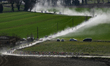 Cyclists face a race during the Strade Bianche Men cycling event in Siena, Italy, on March...