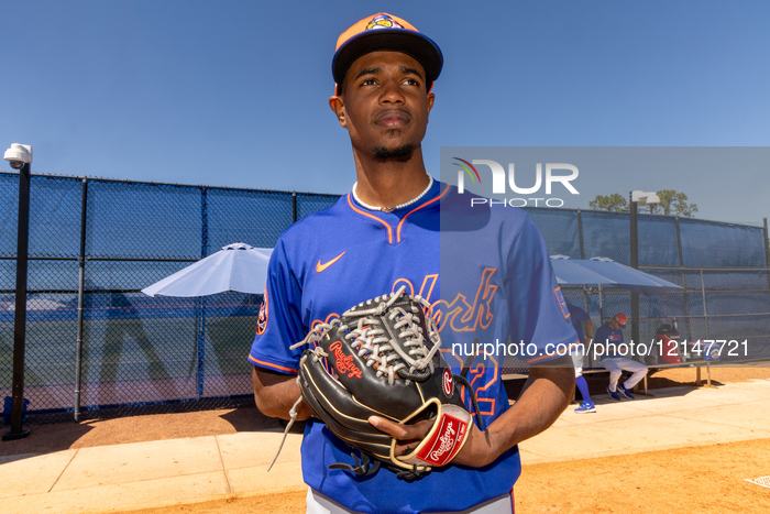New York Mets Minor League Prospect Portraits