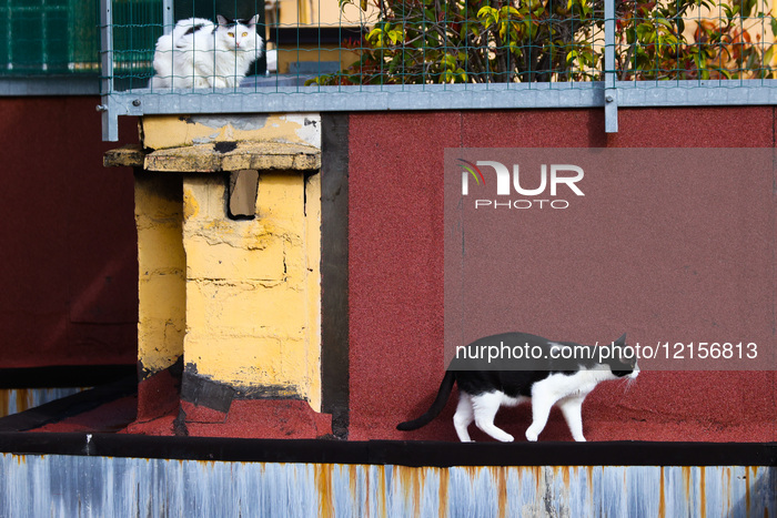 Economy And Business In Bologna, Italy