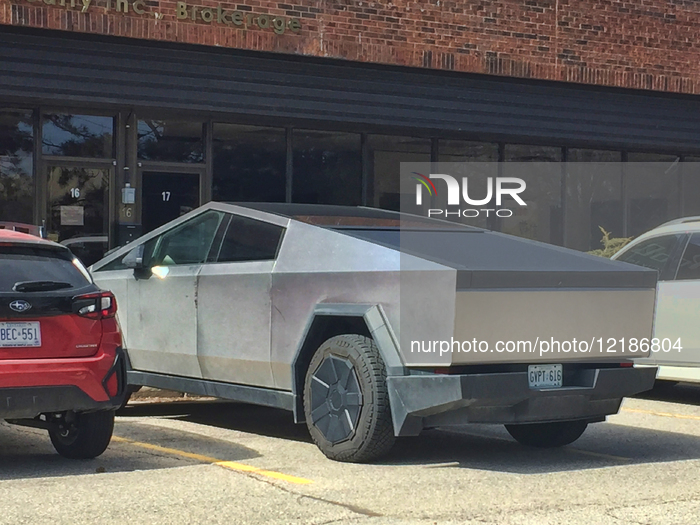 Tesla Takedown Protests Spread To Canada