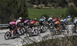 The peloton includes 93 Georg Steinhauser (GER) of EF Education Easypost, 162 Sylvain Moni...