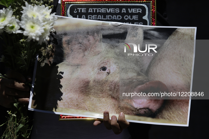 Vegan Protest And Vigil In Mexico City
