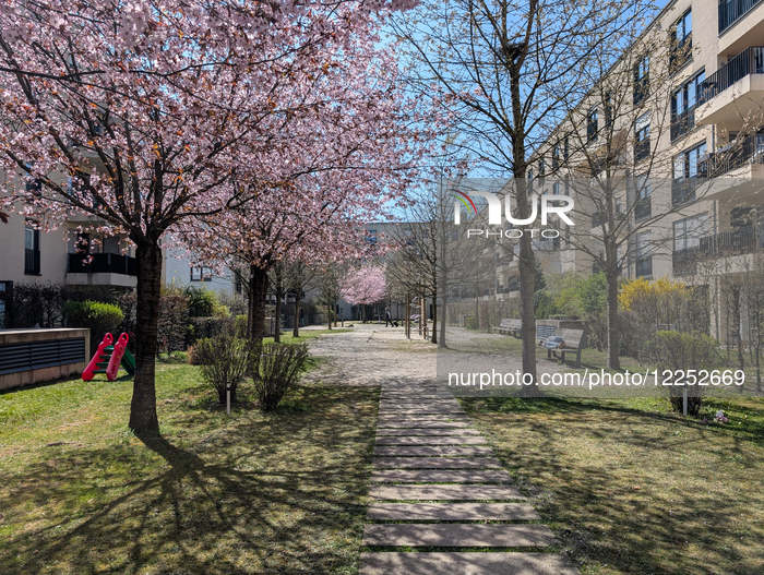 Daily Life In Munich