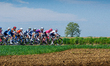 Ladies participate in the Amstel Gold Race from Maastricht to Valkenburg in Berg en Terbli...