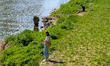 A woman stands by the grassy riverbank looking at her phone while a man sits and reads in...