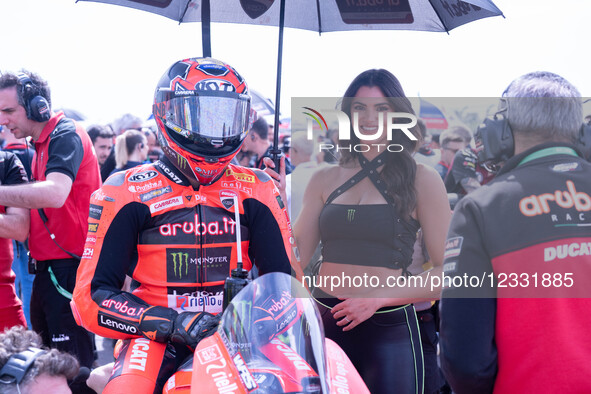 Nicolo Bulega of Aruba.It Racing - Ducati participates in the Super Pole Race during the FIM Superbike World Championship in Cremona, Italy,... by Fabio Averna/NurPhoto