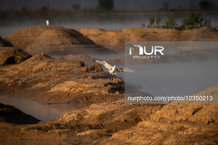 Wildlife Near The Great Miami River In Ohio
