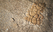 A detail on one of the A69 construction sites between Toulouse and Castres. The Administra...