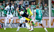 De Graafschap forward Ralf Seuntjens participates in the match between Dordrecht and De Gr...