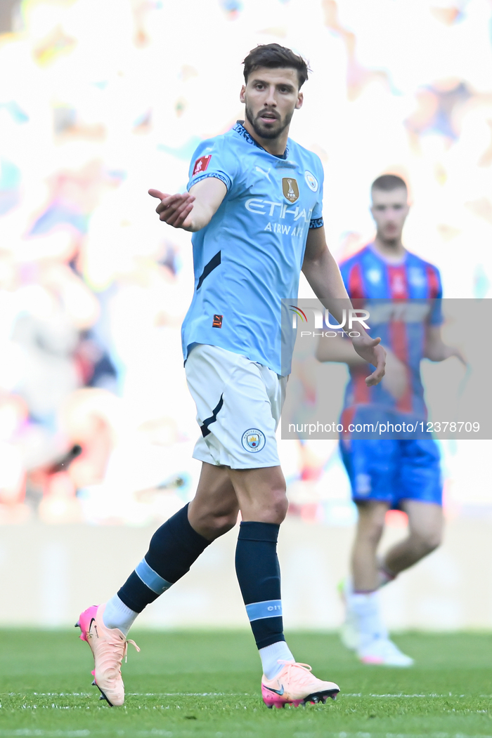 Crystal Palace v Manchester City - Emirates FA Cup Final