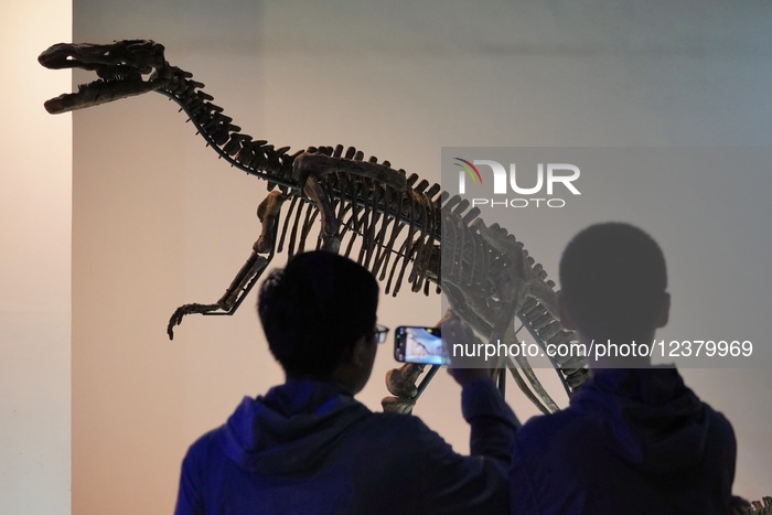 International Museum Day