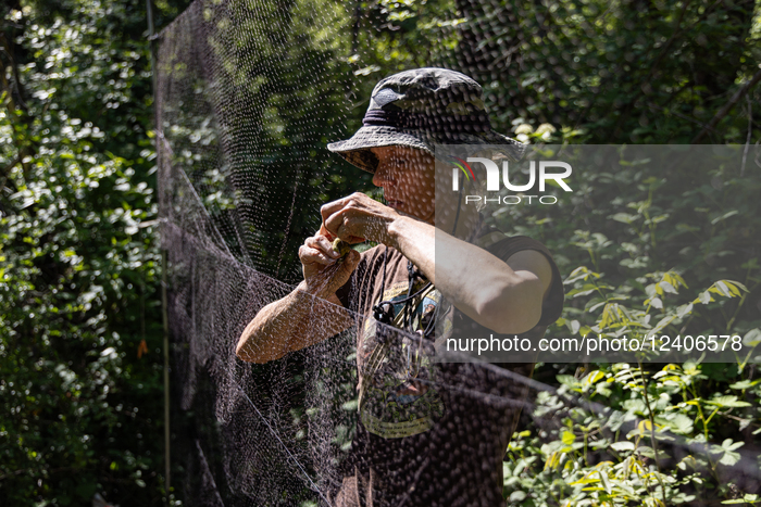Empire Mine Bird Monitoring Program