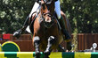 Marit Haarr Skollerud Cox (NOR) participates in the 92? CSIO Roma 2025 Prize No. 10 ROLEX...