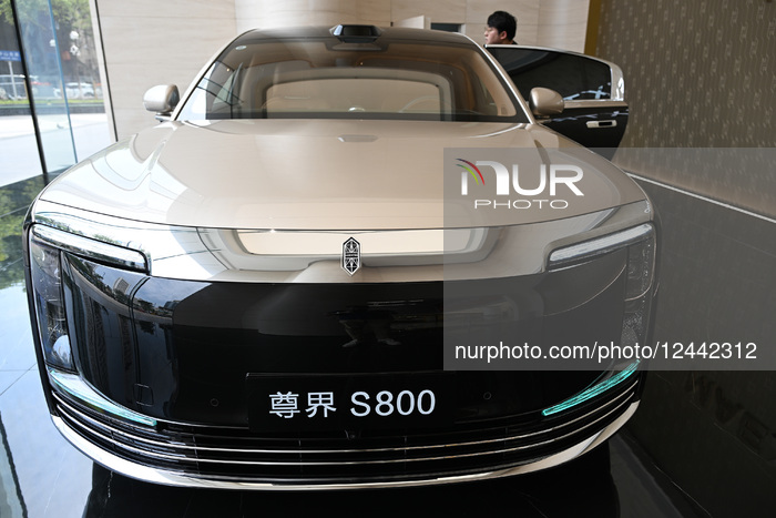Huawei MAEXTRO S800 Luxury Car Popular in China