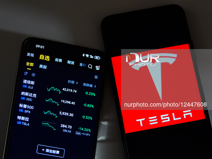 Tesla Stock Price Plummet