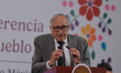 Mexico's Health Minister, David Kershenobich Stalnikowitz, speaks during a press conferenc...
