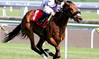 Thoroughbred jockey Rafael Hernandez rides Silent Sunshine to a win in the fifth race at W...