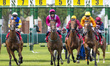 They are off in the 16:00 REDCAR - 1m 2f 1y Visit racingtv.com To Subscribe Today Novice S...