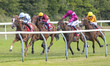 SERENITY BLUE, ridden by A J Farragher and trained by James Horton, races into the lead du...