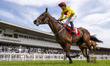 MISSION IN MALTON, ridden by D Fentiman and trained by T D Easterby, competes in the (R5)...