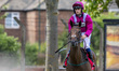 STAY IN THE GAME (IRE) is ridden by Jason Hart and trained by J & S Quinn at Redcar Raceco...