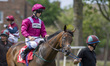 STAY IN THE GAME (IRE) is ridden by Jason Hart and trained by J & S Quinn at Redcar Raceco...